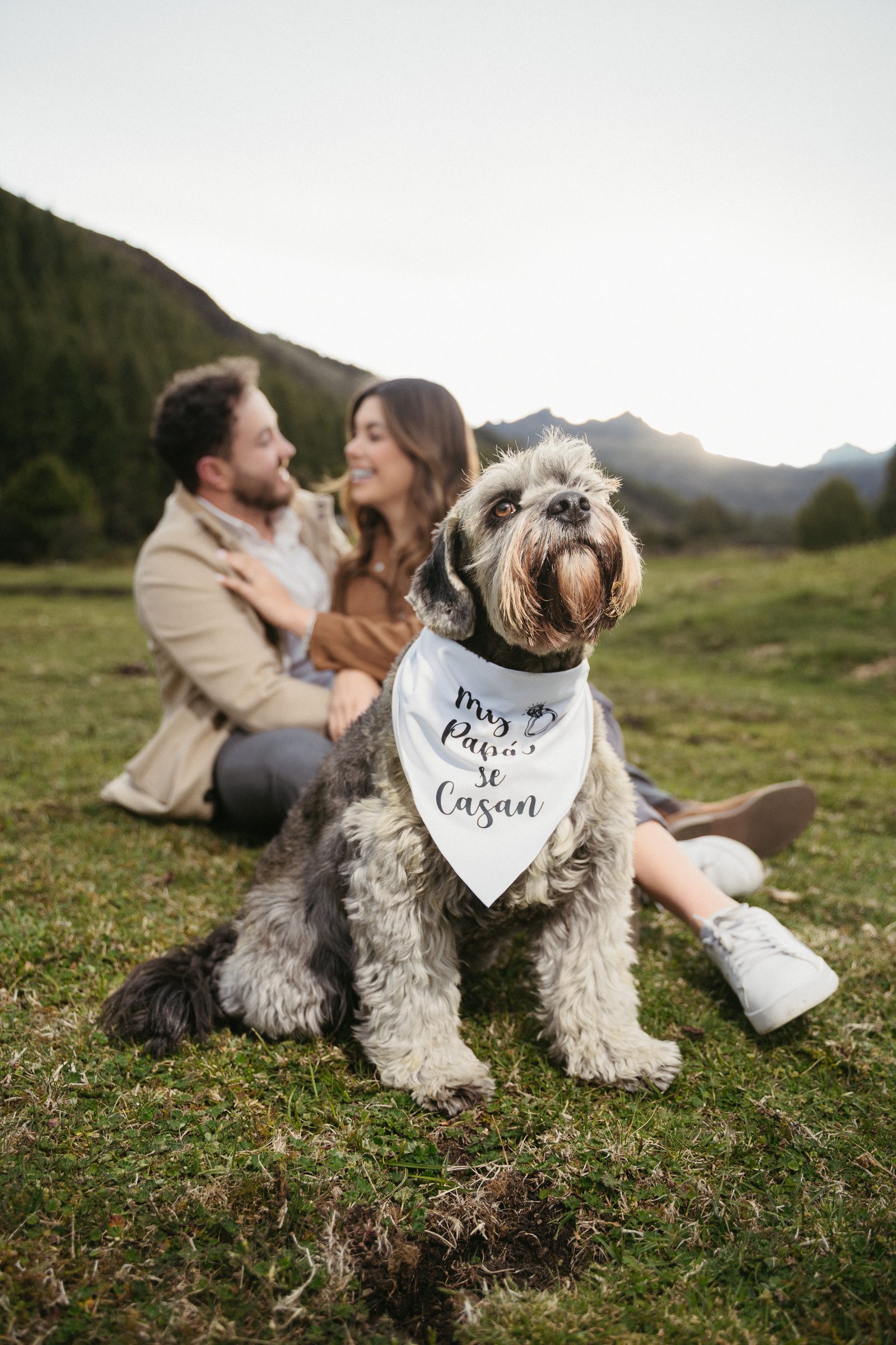 Perro con pañoleta que dice 'Mis papás se casan', pareja sonriendo de fondo en la montaña